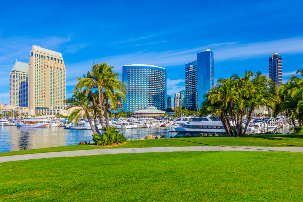 Scenic view of San Diego with palm trees and boats