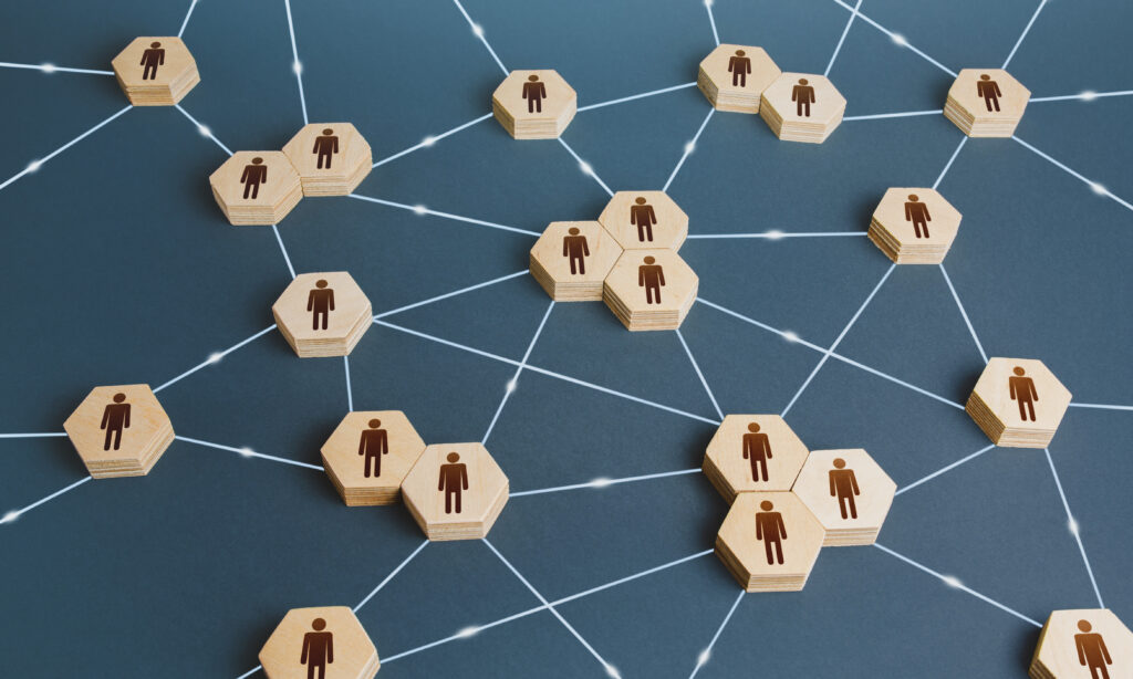 network of interconnected people
